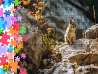 Puzzle tradycyjne Zwierzęta - Wiewiórka