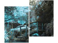 80X70CM OBRAZ SECRET GARDEN MOST OGRÓD JAPONIA KOLORY DUO OBRAZ