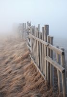 Plakat 68x98cm Mgła nad Wydmami