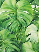 Plakat 30x40cm Tajemnice Liści