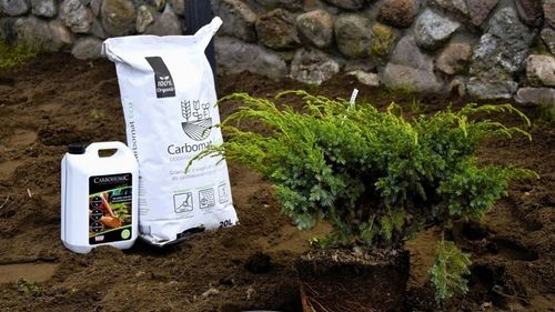 Węgiel brunatny do gleby CARBOMAT ECO 20 L (pH 4,5 - 5,0) na Arena.pl