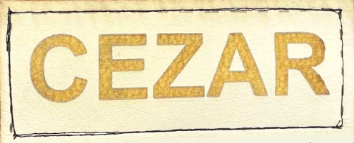 Legowisko dla psa kojec KINGDOG 115x95 personalizowane wodoodporne czarne zdjęcie 14