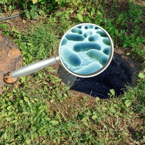 MICROBEC ULTRA PREPARAT BAKTERIE DO SZAMBA OCZYSZCZALNI EUKALIPTUS 1,2 na Arena.pl