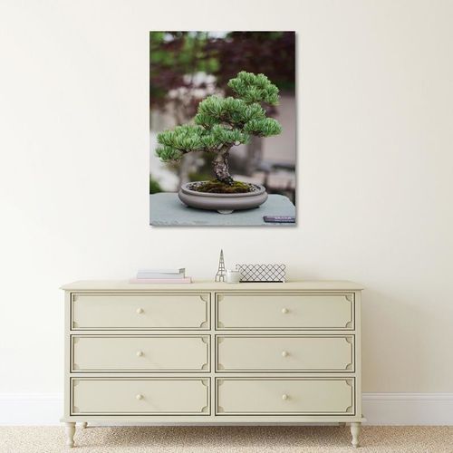 Deco Panel, Bonsai 30x40 na Arena.pl