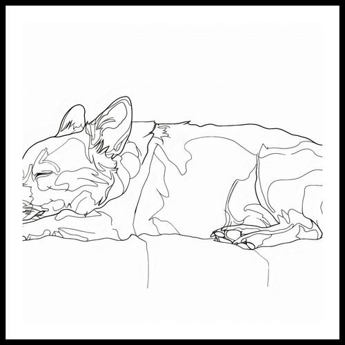 Plakat 80x80cm Śpiący Psiak na Arena.pl