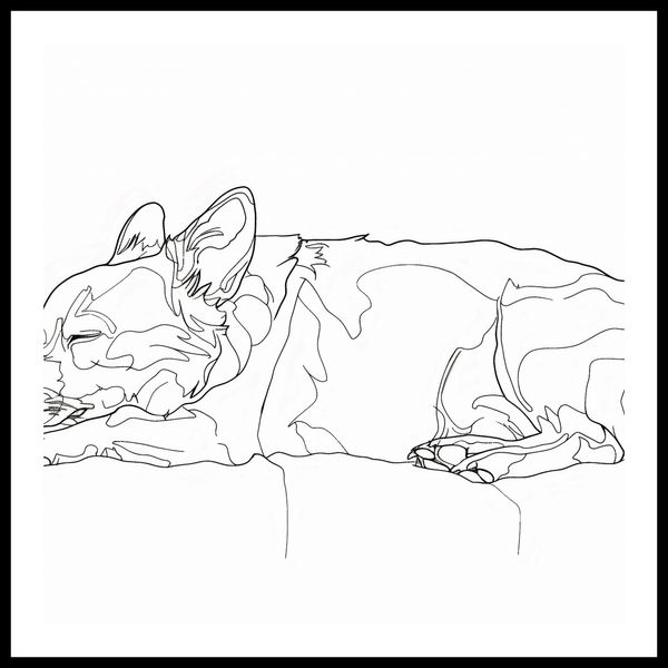 Plakat 80x80cm Śpiący Psiak zdjęcie 3