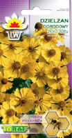 Dzielżan złoto-żółty nasiona 0,5 g. bylina miododajna