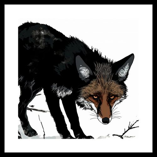 Plakat 40x40cm Nieufny Lis na Arena.pl