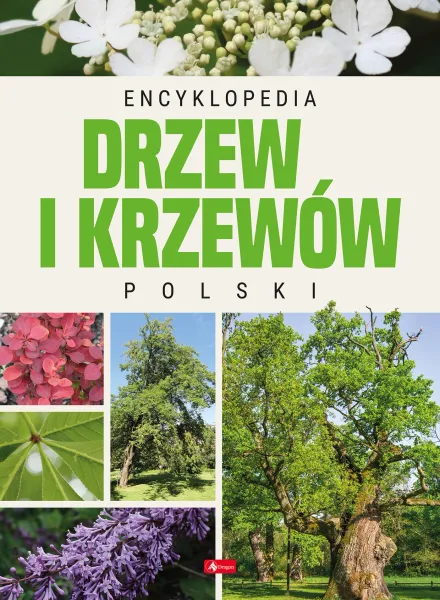 Encyklopedia drzew i krzewów Polski zdjęcie 1