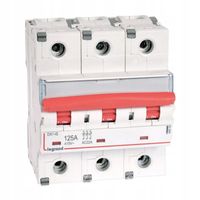 2 x 2 x ROZŁĄCZNIK IZOLACYJNY FRX403 125A LEGRAND 406539