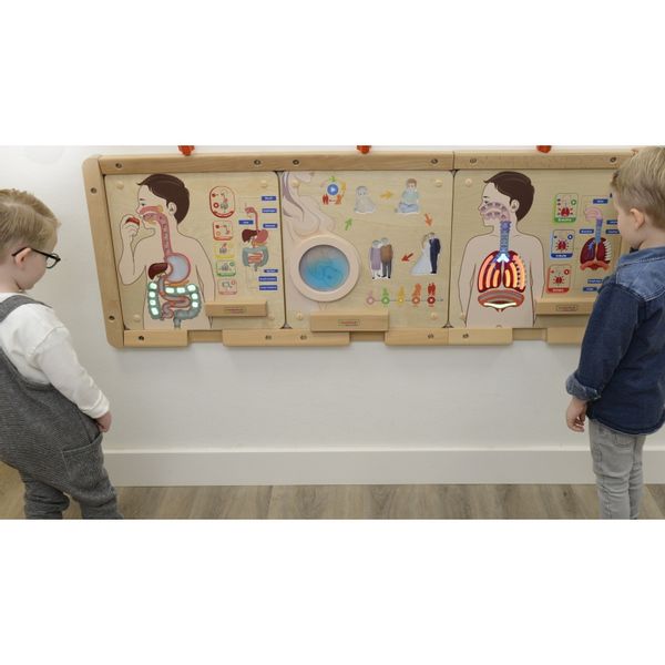 MASTERKIDZ Tablica Edukacyjna Układ Trawienny zdjęcie 7