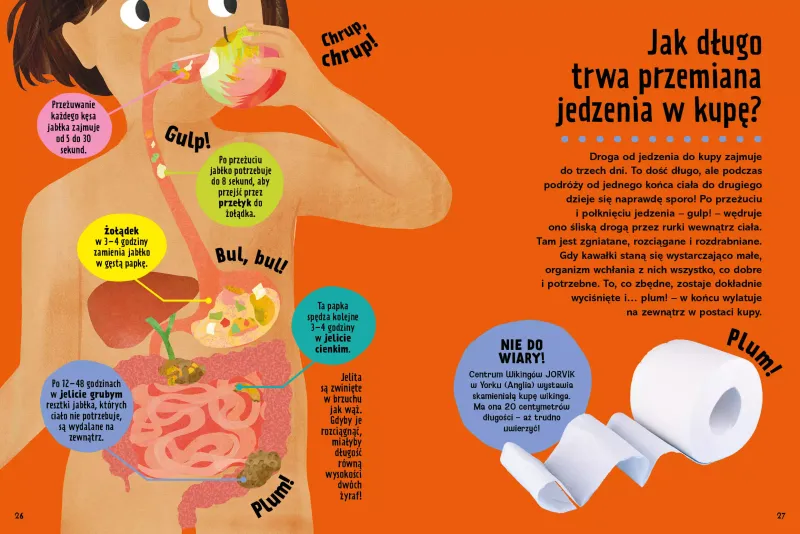 Wielka Księga Pytań Jak zdjęcie 3