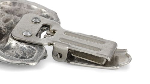 Cavalier King Charles Spaniel - klips - 287 na Arena.pl