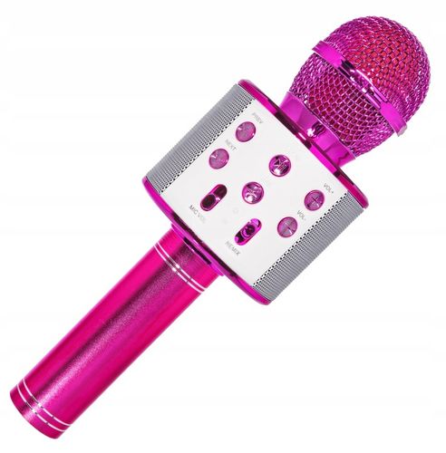 BEZPRZEWODOWY MIKROFON DLA DZIECI ZESTAW DO KARAOKE BLUETOOTH ETUI USB na Arena.pl