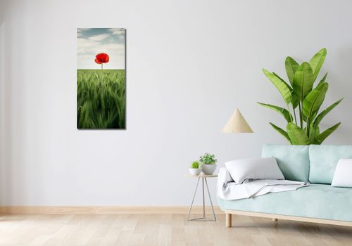 Obraz 40x90cm Samotny Mak na Polu na Arena.pl