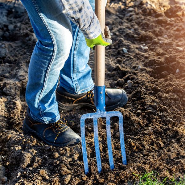 WIDŁY DO KOPANIA 4-ZĘBNE DREWNIANY TRZONEK 130 cm zdjęcie 2