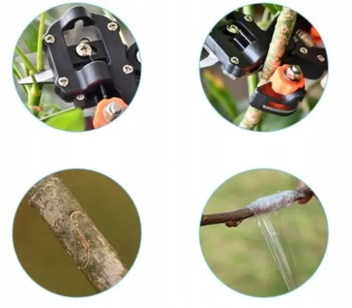 ZESTAW SEKATOR NOŻYCE NOŻYCZKI OGRODOWE DO SZCZEPIEŃ OKULIZACJI DRZEW TAŚMA na Arena.pl