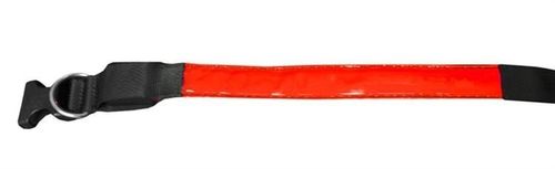 Obroża LED czerwona - S na Arena.pl