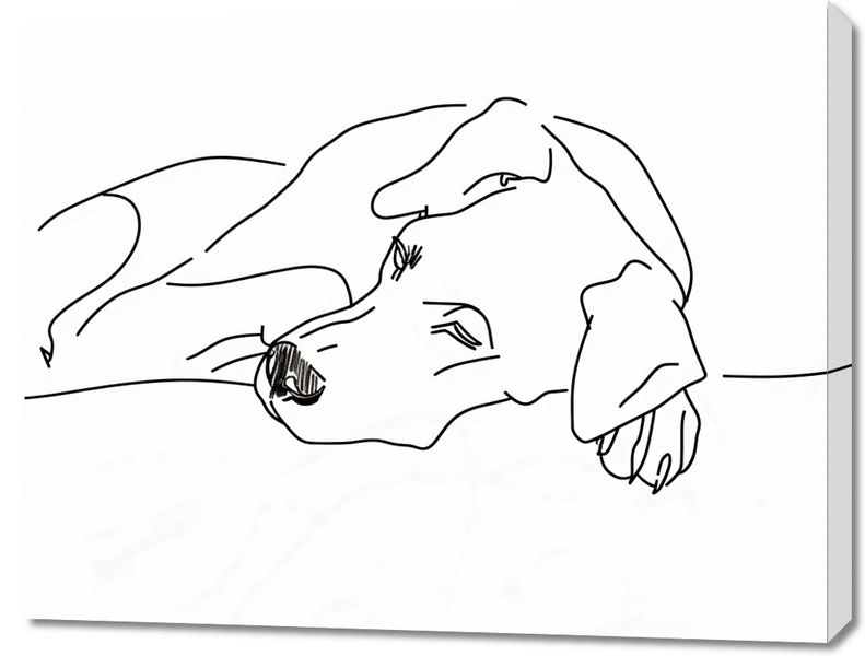 Obraz 90x70cm Wypoczynek Psiaka zdjęcie 1