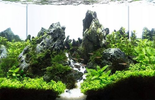 16kg Biały Piasek Kwarcowy do Akwarium 0,5-1mm na Arena.pl