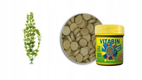 Zestaw 25l owalny LED 1W + wyposażenie Dzień I Noc na Arena.pl