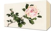 Obraz 30x20cm Pink Rose 2, Kōno Bairei Japoński Vintage do Salonu