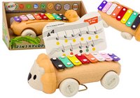 Cymbałki Lew Na Kółkach Instrument Dla Dzieci Kolorowe Edukacyjne