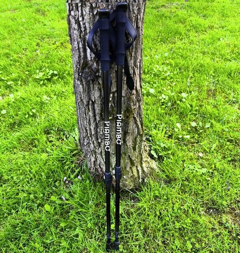 KIJKI DO NORDIC WALKING KIJE TREKKINGOWE DLA DZIECI SKŁADANE REGULOWANE x2 na Arena.pl