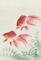 Plakat 67,5x100cm Two Veil Goldfish, Koson Japoński Vintage do Salonu