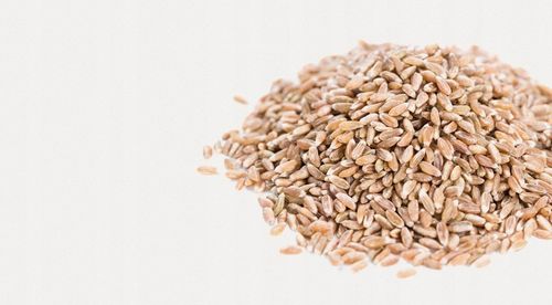 MĄKA ORKISZOWA JASNA GŁADKA TYP 630 10x1 kg PERNERKA na Arena.pl