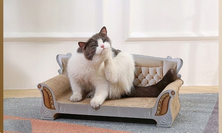 DRAPAK DLA KOTA SOFA LEGOWISKO KARTON TEKTUROWY zdjęcie 10