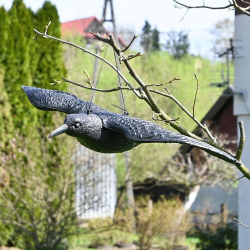 Kruk w locie Sillar makieta ptaka kruka odstraszacz ptaków gołębi szpaki 3x na Arena.pl