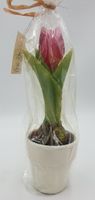 świeca w doniczce tulipan