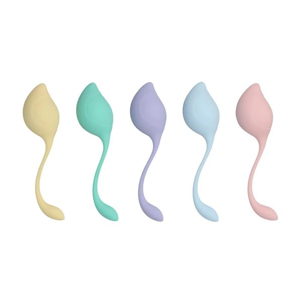Pelvic Stem Kegel Kit - Multicolor zdjęcie 1