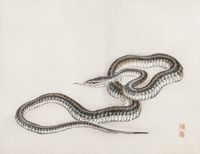 Plakat 65x50cm Snake, Kōno Bairei