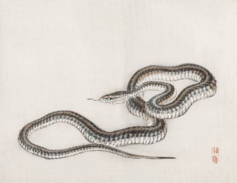 Plakat 65x50cm Snake, Kōno Bairei zdjęcie 1