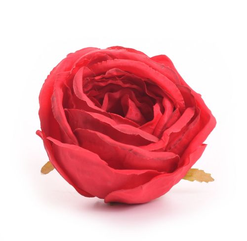 Róża główka czerwona na Arena.pl