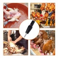 ELEKTRYCZNA SKUBARKA SKUBACZKA DO PIERZA DROBIU KUR KURCZAKÓW PIÓR Czarny
