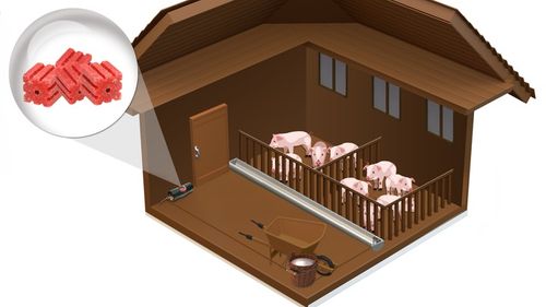 ULTRA MOCNA TRUTKA KOSTKA NA MYSZY I SZCZURY RATIMOR 3KG BROMADIOLONE na Arena.pl