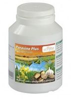 Parasine Plus 100 kaps. MITRA układ pokarmowy