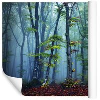 Fototapeta Magiczny Las Drzewa NATURA do Salonu 450x300