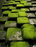 Plakat 50x65cm Zielona Mozaika