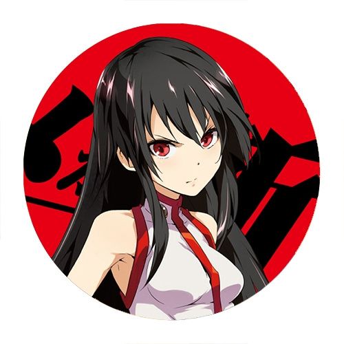 Przypinka Akame ga Kill DO WYBORU na Arena.pl