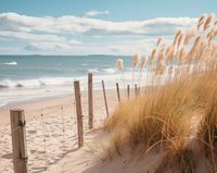 product-compare-59352474