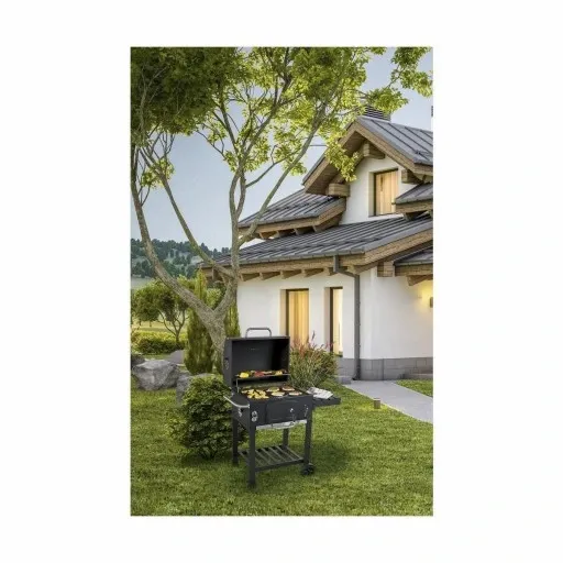 GRILL OGRODOWY CARBO WĘGLOWY RUSZT ŻELIWNY DUŻY XXL zdjęcie 2