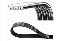 DAYCO PASEK KLINOWY WIELOROWKOWY 6PK1020K