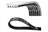 DAYCO PASEK KLINOWY WIELOROWKOWY 6PK1020K