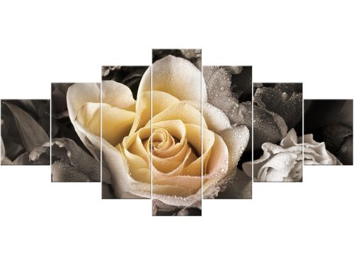 Obraz drukowany płótno 7 elementów 210x100 GRATIS na Arena.pl