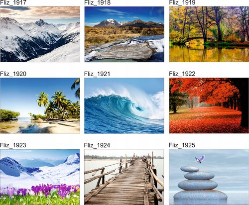 FOTOTAPETA KRAJOBRAZ KORONY DRZEW LAS SŁOŃCE na Arena.pl