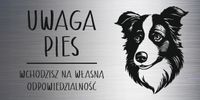 Tabliczka laminat 20x10 cm UWAGA PIES Border Collie Z GRAWEREM